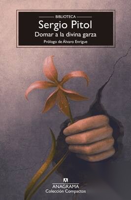 Portada de Domar a la divina garza