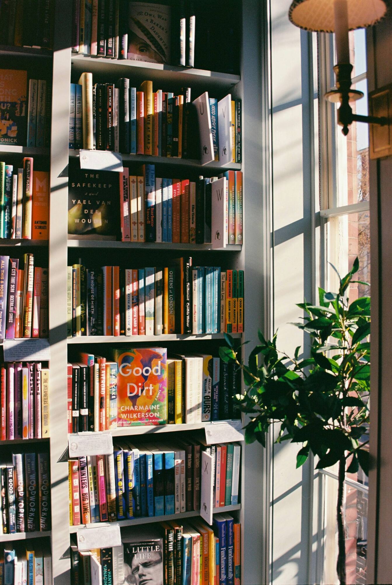 Estantería de librería llena de libros junto a una ventana con luz